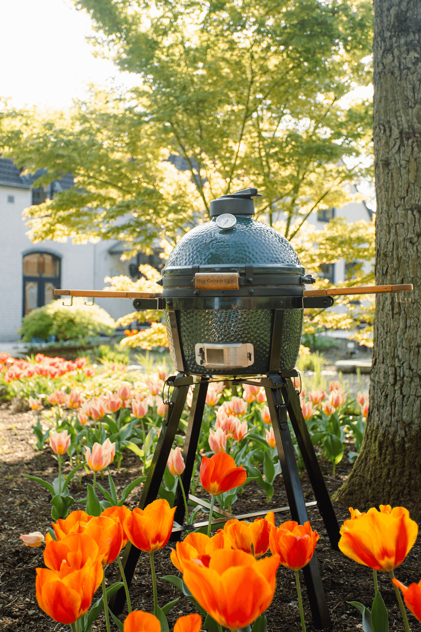 Big Green Egg